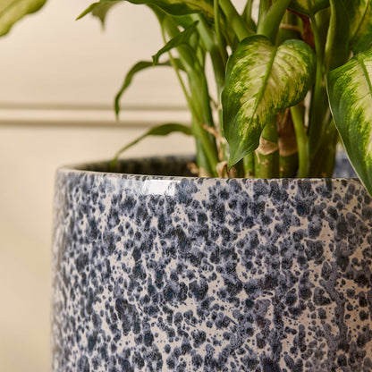 Lotte Ceramic | Indoor Plant Pot
